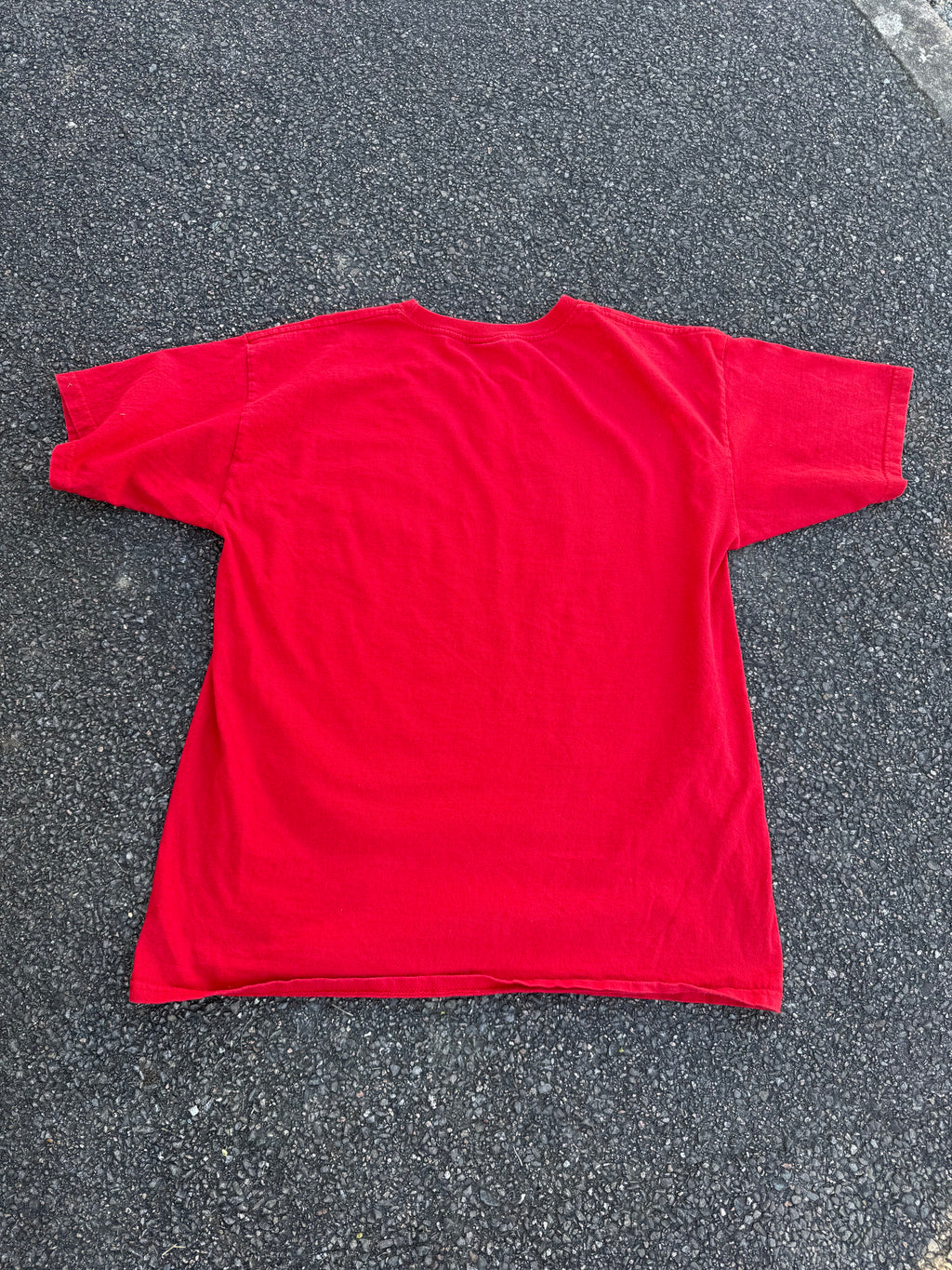 Stussy Vintage 2000s World Tour Birds Graphic T-shirt