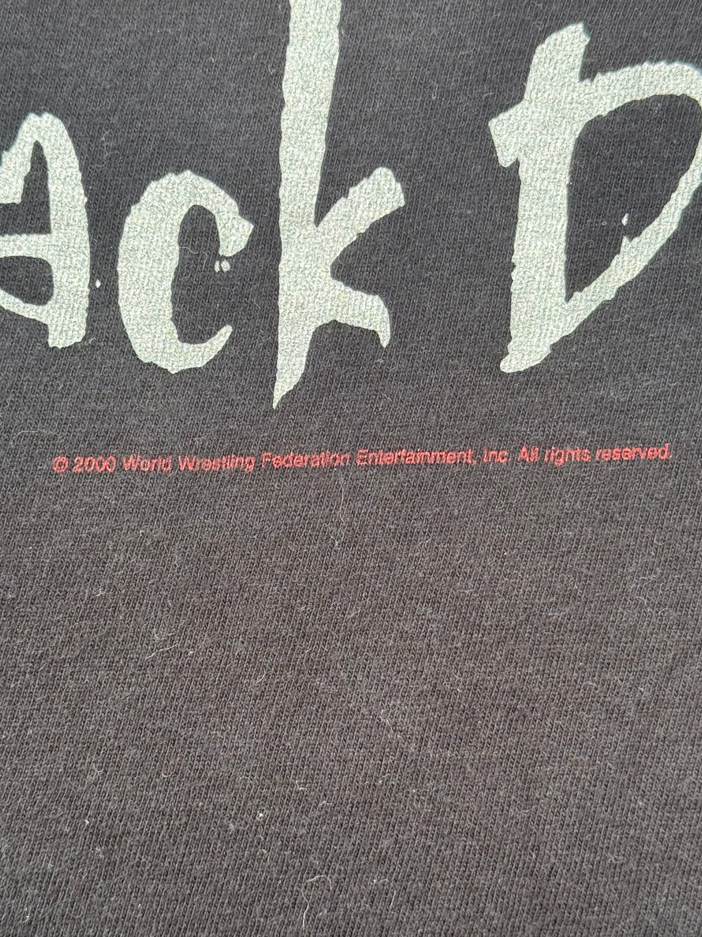 Vintage 2000 WWF The Rock Lay The Smack Down WWE T-Shirt