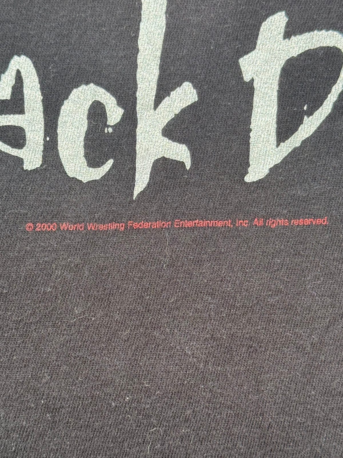Vintage 2000 WWF The Rock Lay The Smack Down WWE T-Shirt