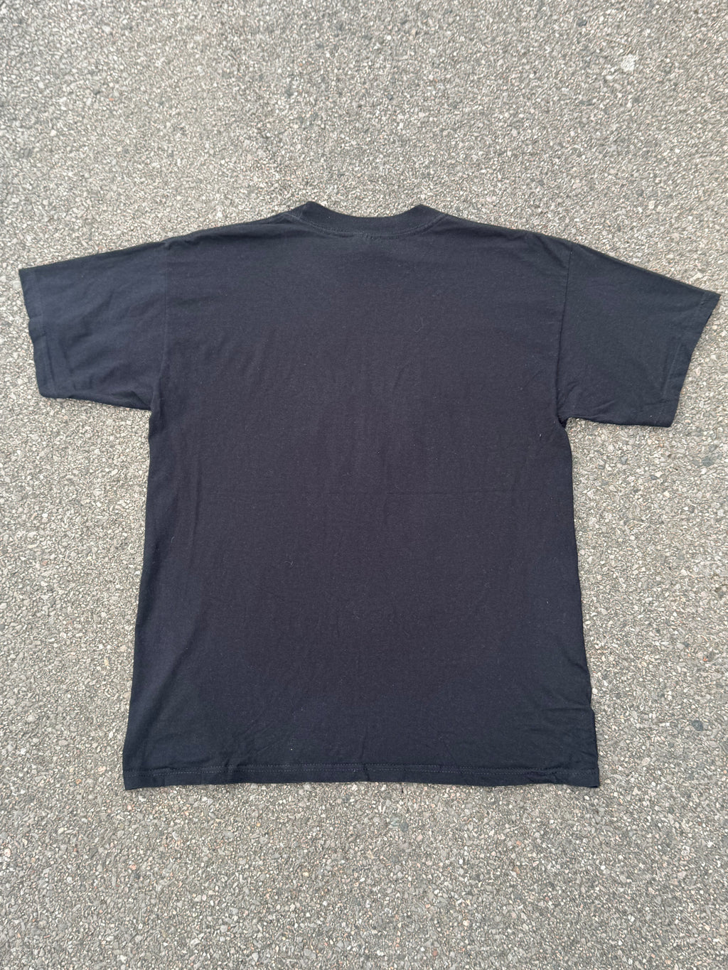 Vintage 2000 WWF The Rock Lay The Smack Down WWE T-Shirt