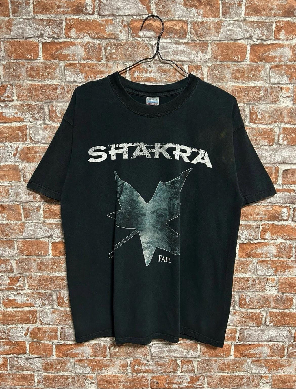 Vintage 2000s Shakra Rock Band T-shirt Size L
